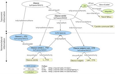 Combining different points of view on plant descriptions: mapping agricultural plant roles and biological taxa